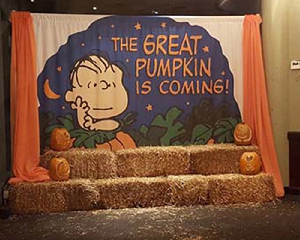 the-peanuts-gang-wholesale-backdrops