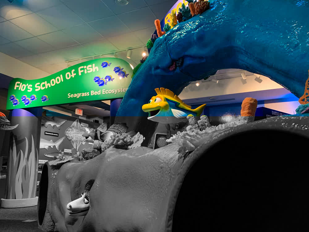 flos school of fish experiential event elements