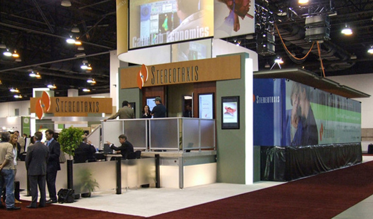 stereotaxis experiential demonstration