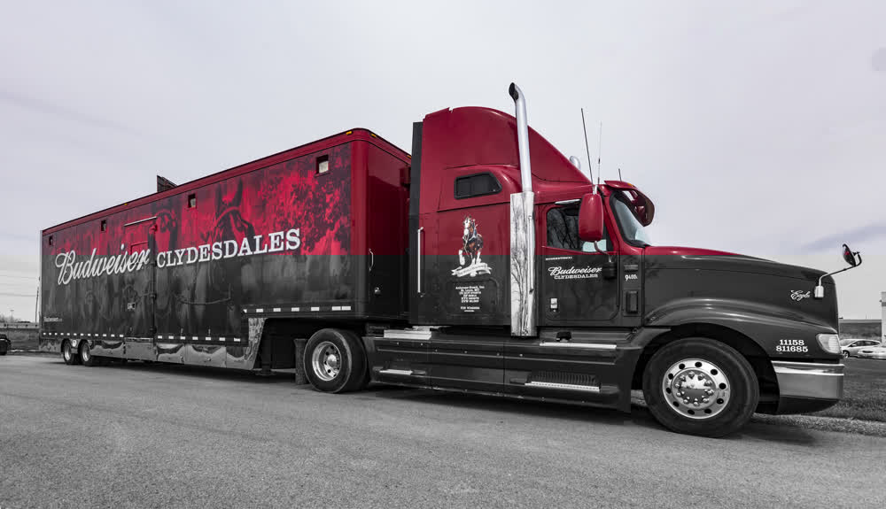 budweiser fleet graphics