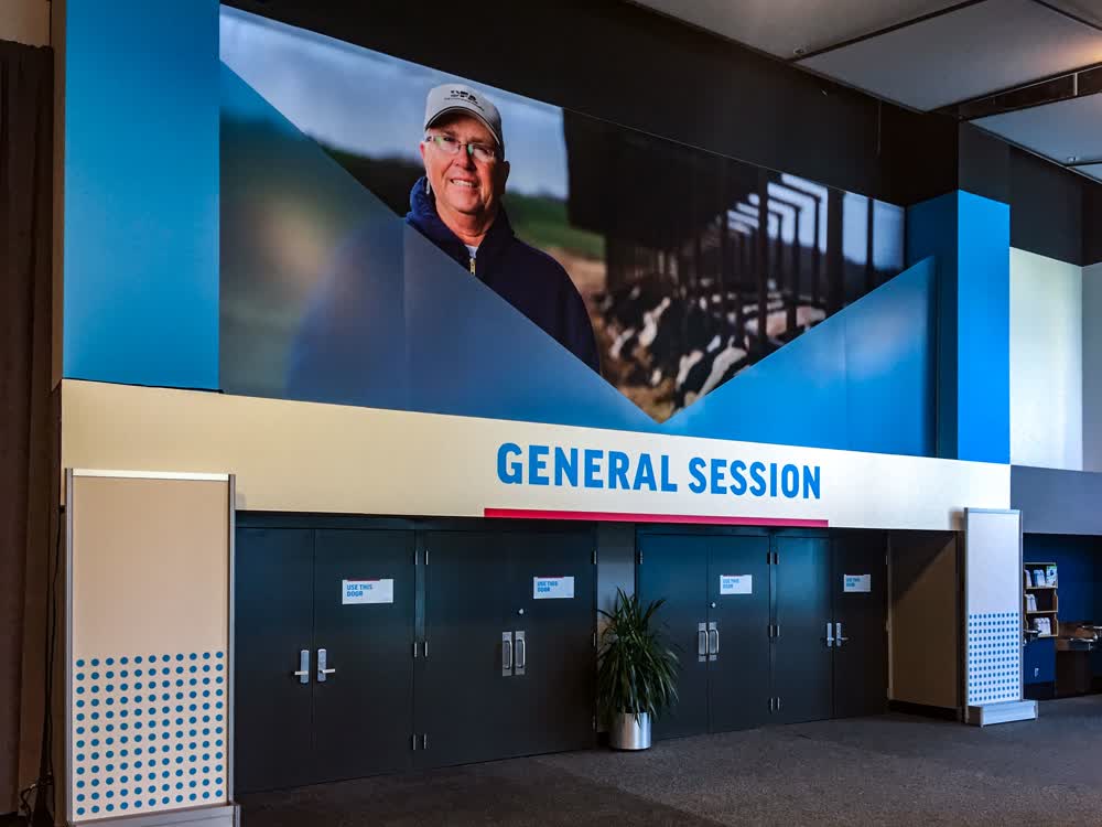 dfa convention wall decals graphics