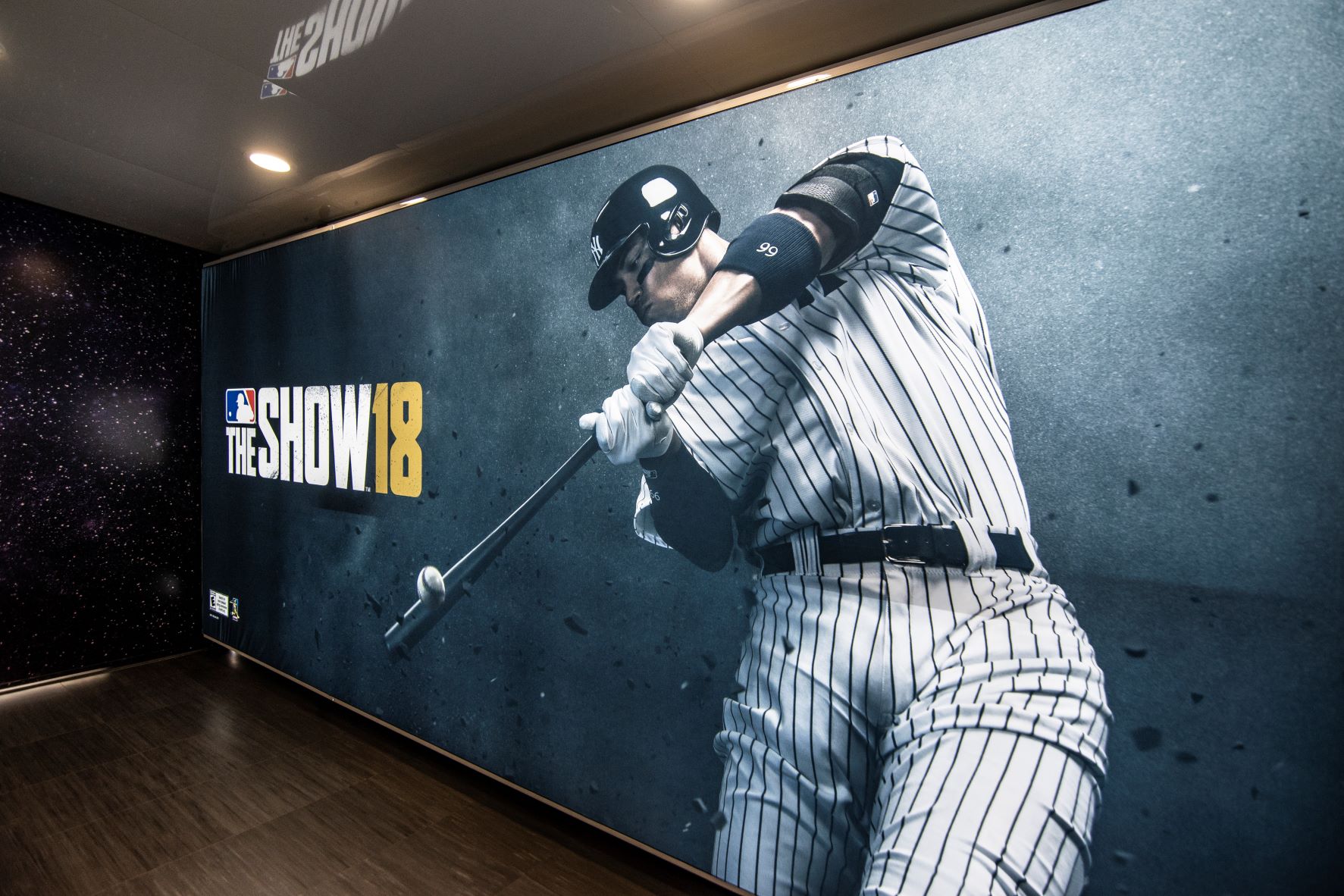 Sony MLB SEG (small)