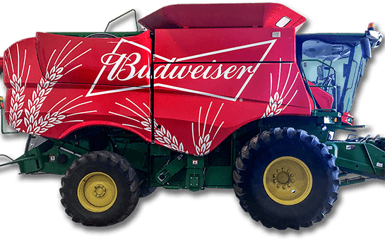 budweiser graphics