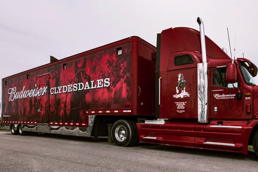 A custom deep red semi-truck and large box trailer featuring a striking graphic wrap for Budweiser Clydesdales. The graphics on the trailer show the horses in motion.
