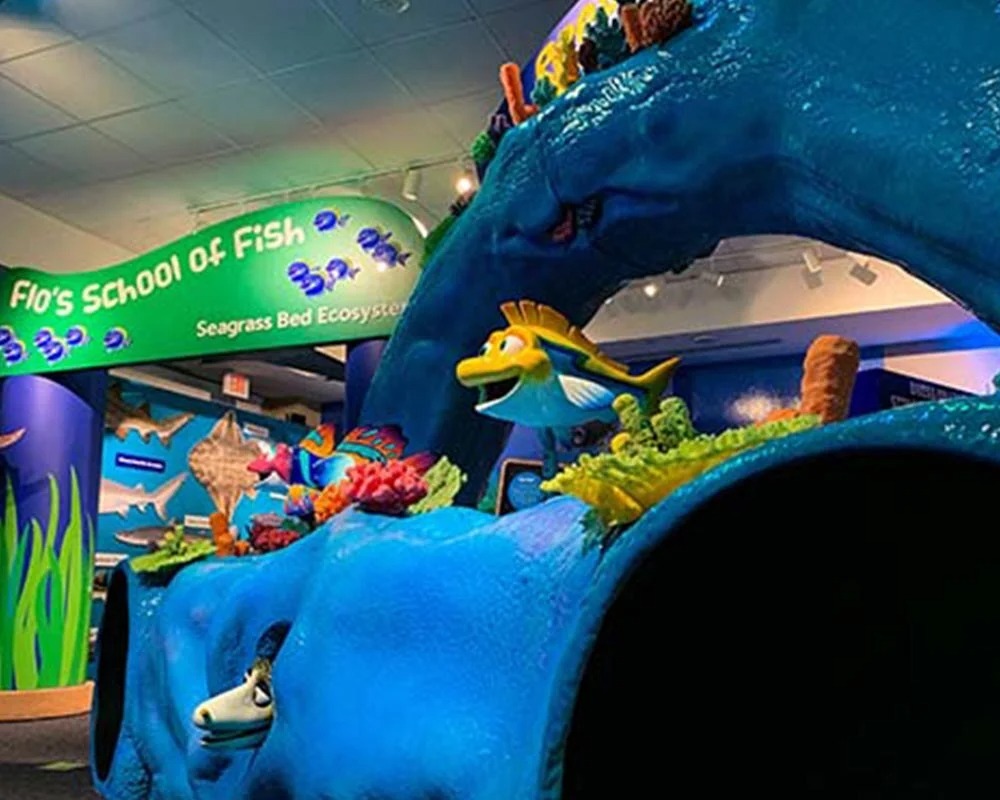 Interactive children's exhibit titled