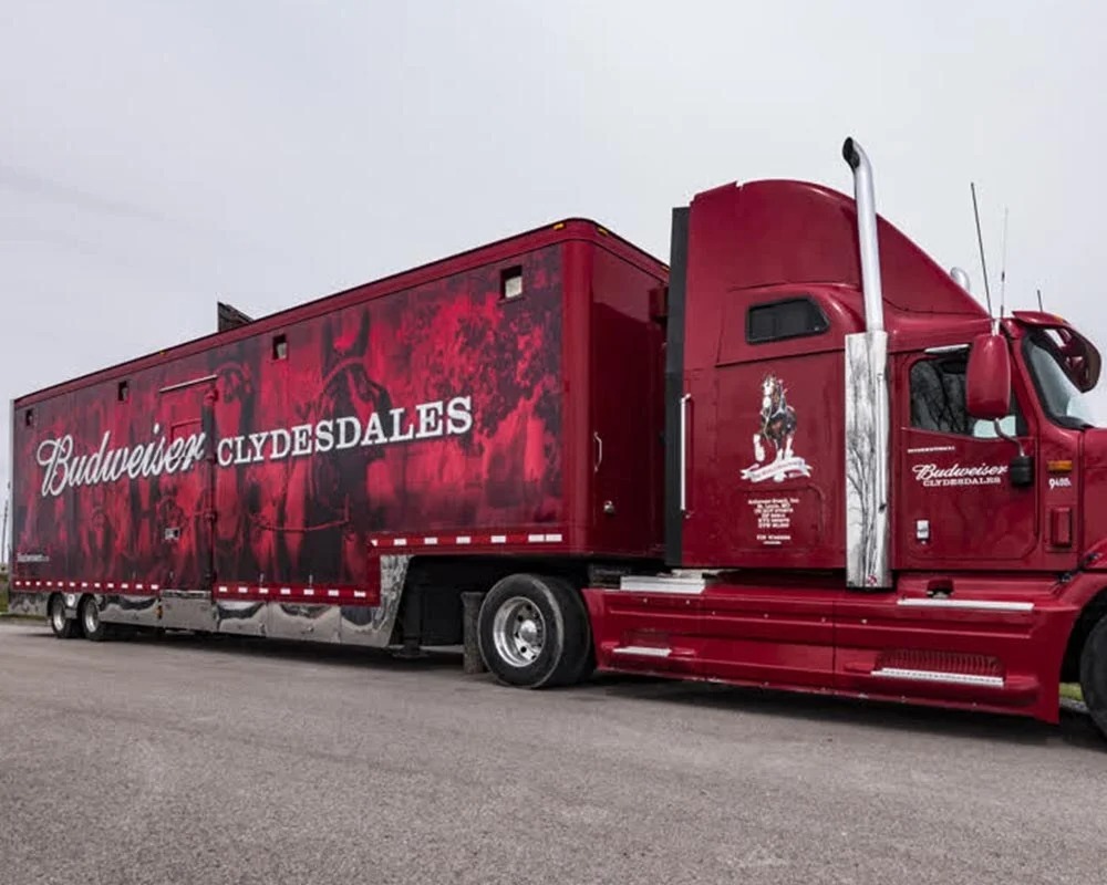 Budweiser Clydesdales semi-truck featuring a custom red vinyl trailer wrap with branded horse imagery.